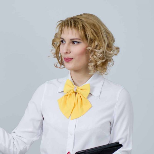 Example image of a teacher